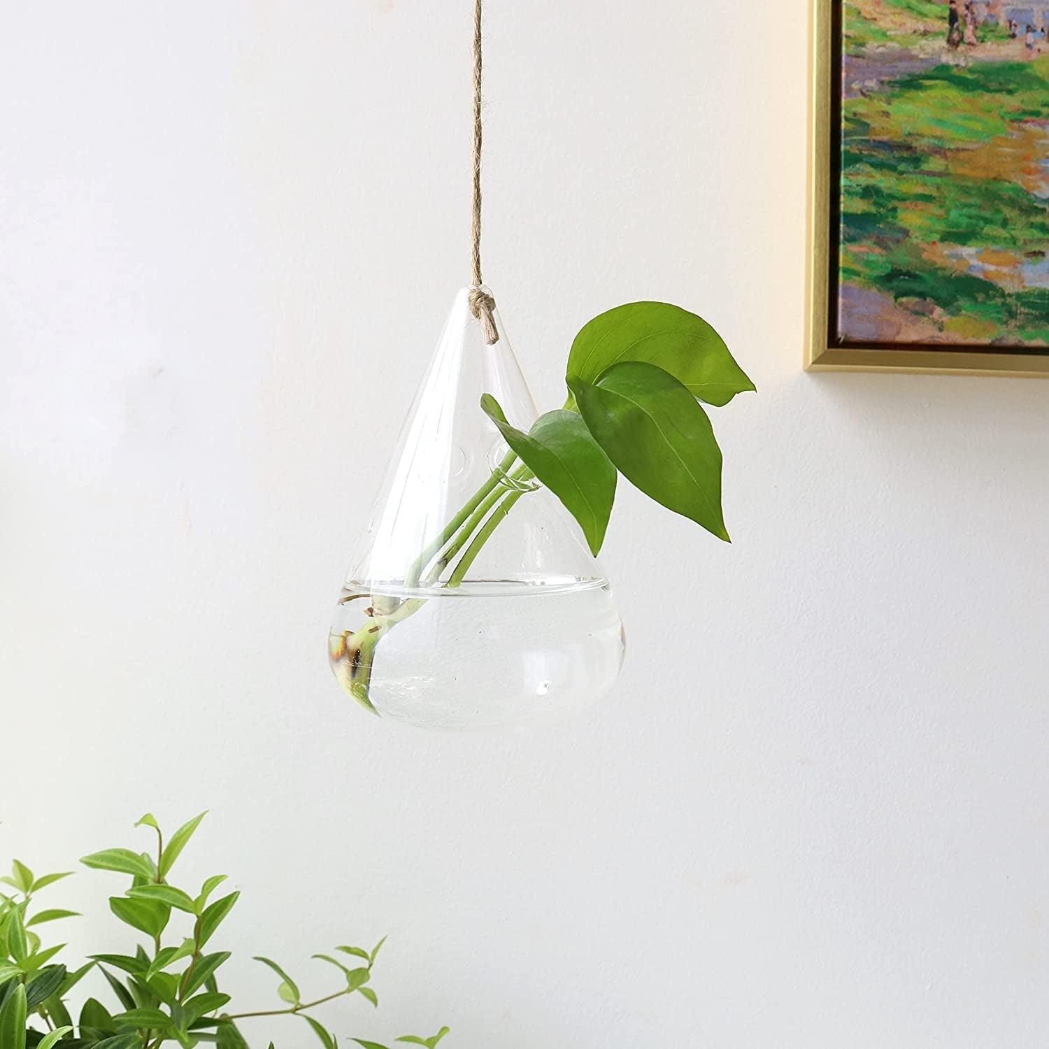 3-Piece Glass Hanging Terrarium Vases