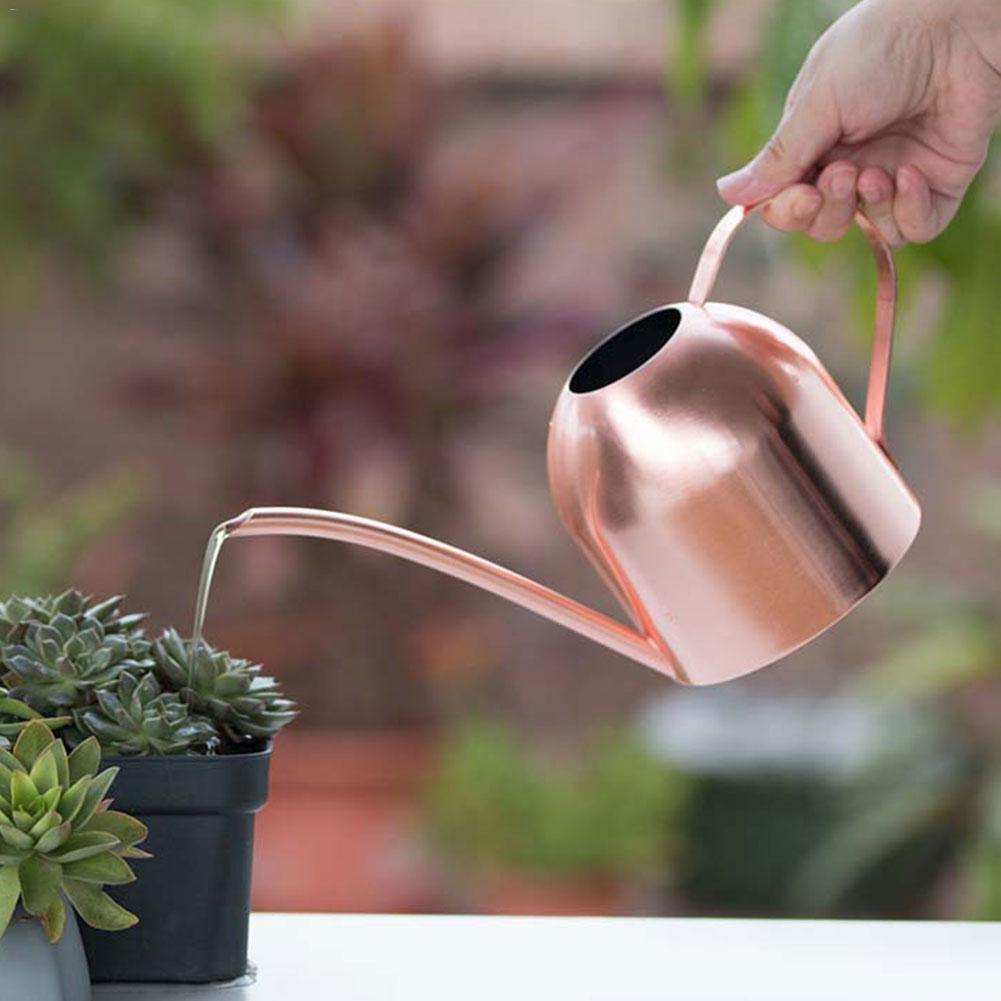 Gooseneck Dome Stainless Steel Watering Can