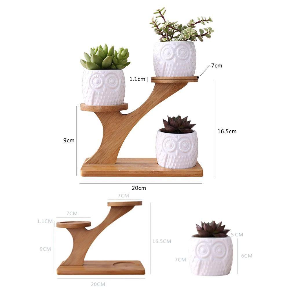 Tiered Ceramic Owl Succulent Planters with Bamboo Shelf