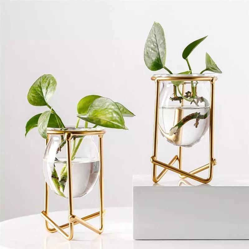 Glass Propagation Vase with Geometric Iron Stand