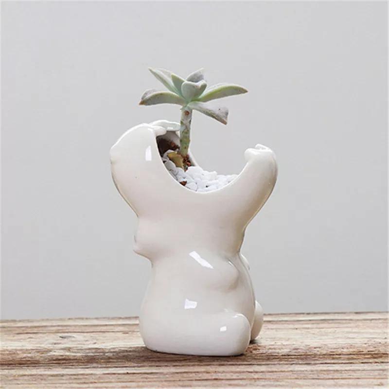 Chomping Hippo Ceramic Succulent Planter