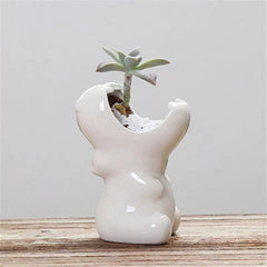 Chomping Hippo Ceramic Succulent Planter