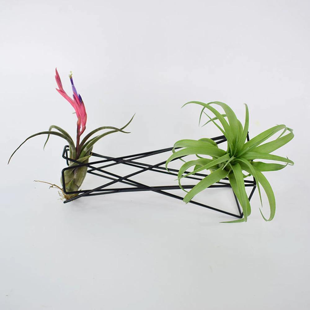 Twisted Geometric Metal Air Plant Stand