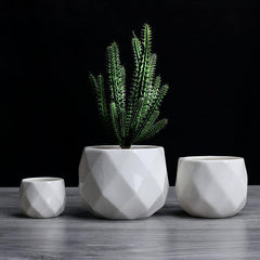 Rounded Diamond Ceramic Succulent Planters