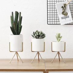 Short Tabletop Ceramic Planter with Geometric Metal Stand