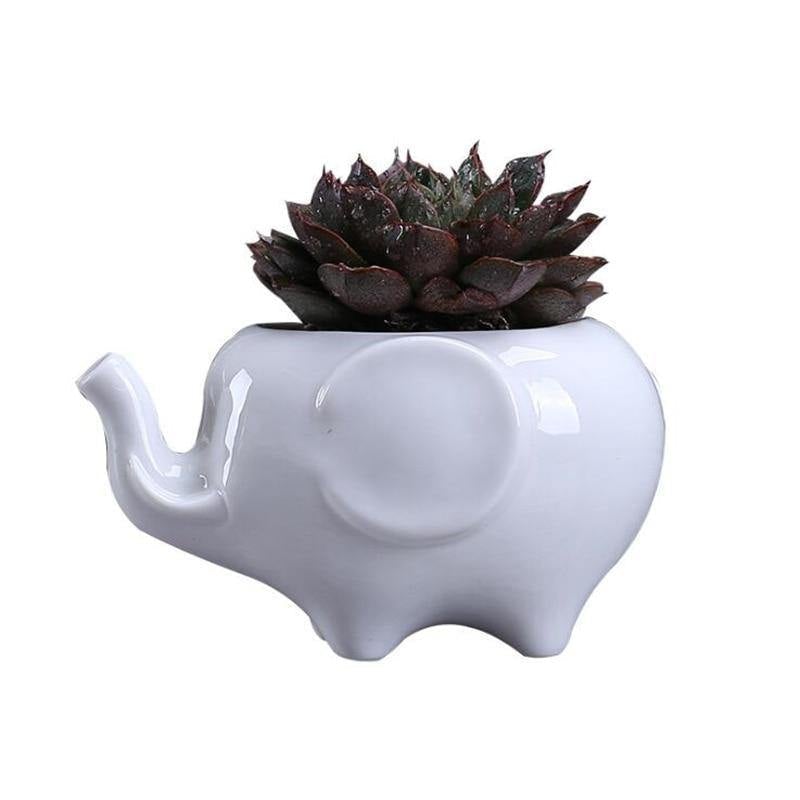 Ceramic Elephant Succulent Planter