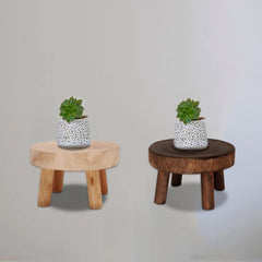مقعد خشبي للنباتات